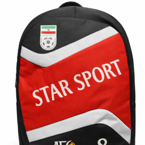 کوله پشتی ( دو زیپ ) _ کد 1182